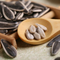 Sunflower seeds Type No.601 Inner mongolia factory Chinese